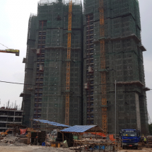 Cover---The-Central-Phase2